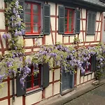 Historic Center Charming Duplex With Garage Apartment