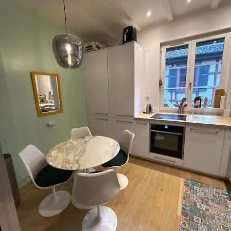 Historic Center Charming Duplex With Balcony * Colmar