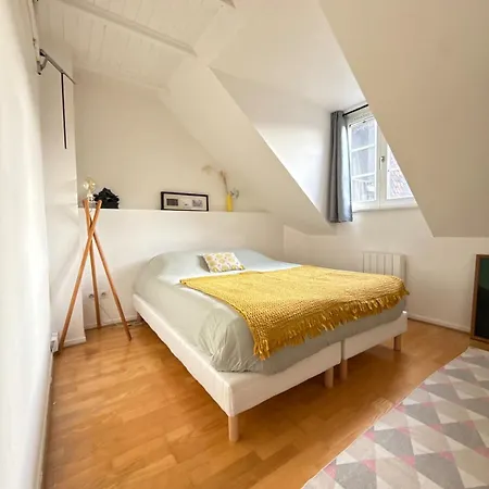 Historic Center Charming Duplex With Garage Appartement Colmar