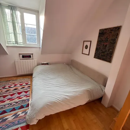 Historic Center Charming Duplex With Garage * كولمار