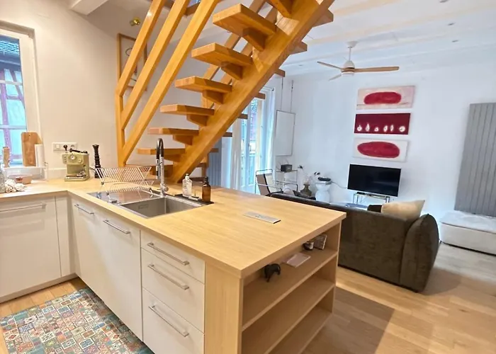 Appartamento Historic Center Charming Duplex With Balcony Colmar