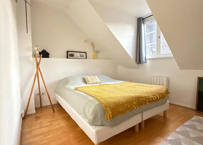 Historic Center Charming Duplex With Balcony Apartament Colmar