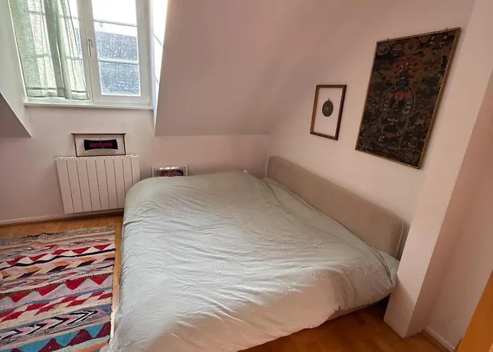 Historic Center Charming Duplex With Balcony * Colmar